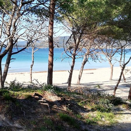 Nuovissimo Appartamento Con Terrazza Alghero Exterior foto